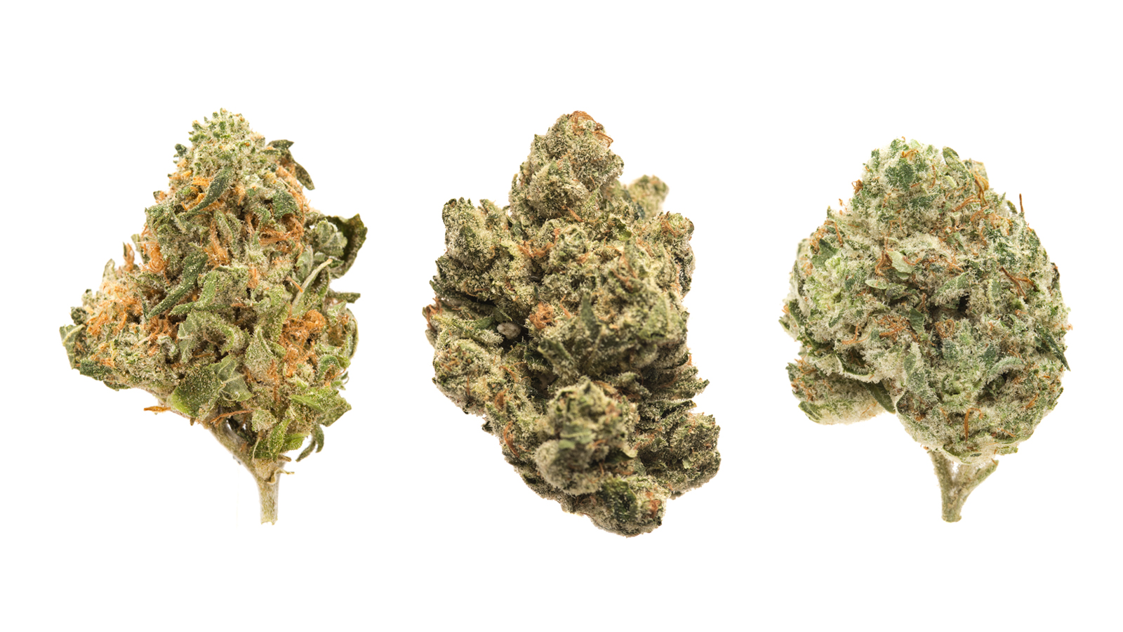 How to Buy Weed Strains online from a reputable shop?